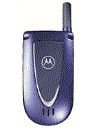 Best available price of Motorola V66i in Slovakia